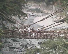 Kazura bashi bridge